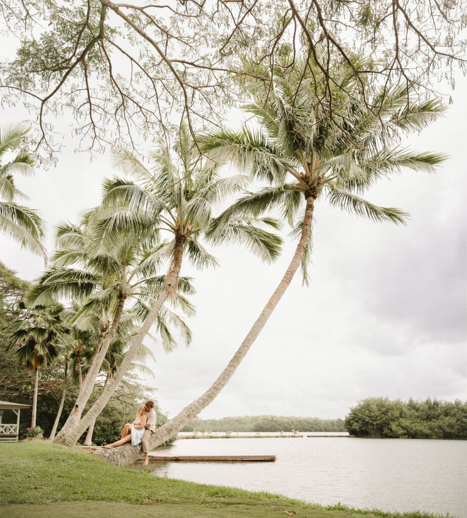 A woman sits on a leaning palm tree by a calm waterfront, surrounded by other palm trees. There's a dock extending slightly into the water, and the overcast sky adds a touch of drama. Break the norms at your elopement and make unforgettable memories in this unique setting.